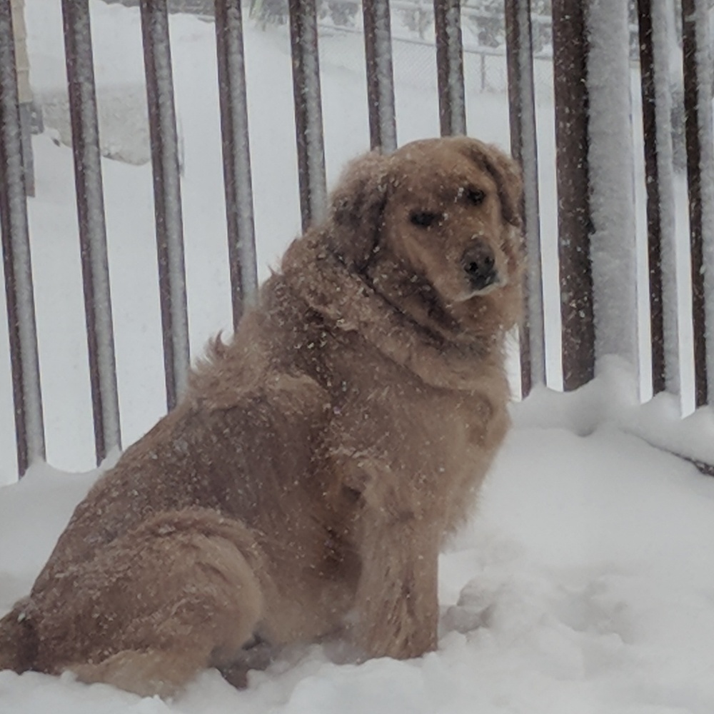 Meet your Posher, Colleen